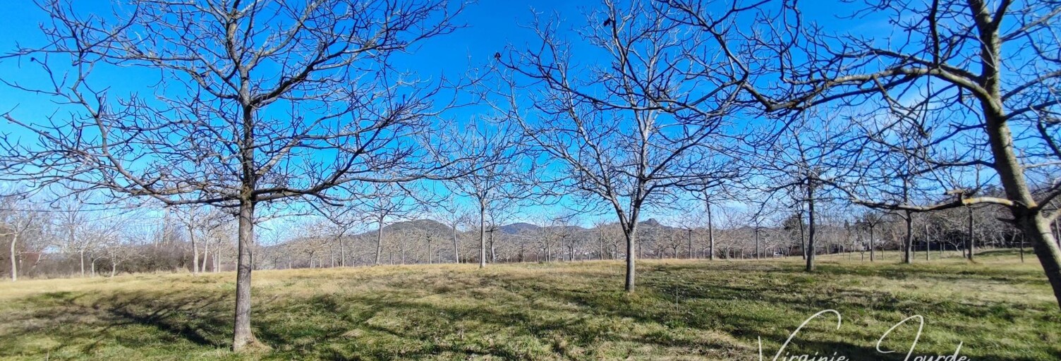 Terrain  9002 m² à vendre à Montpeyroux (63114)