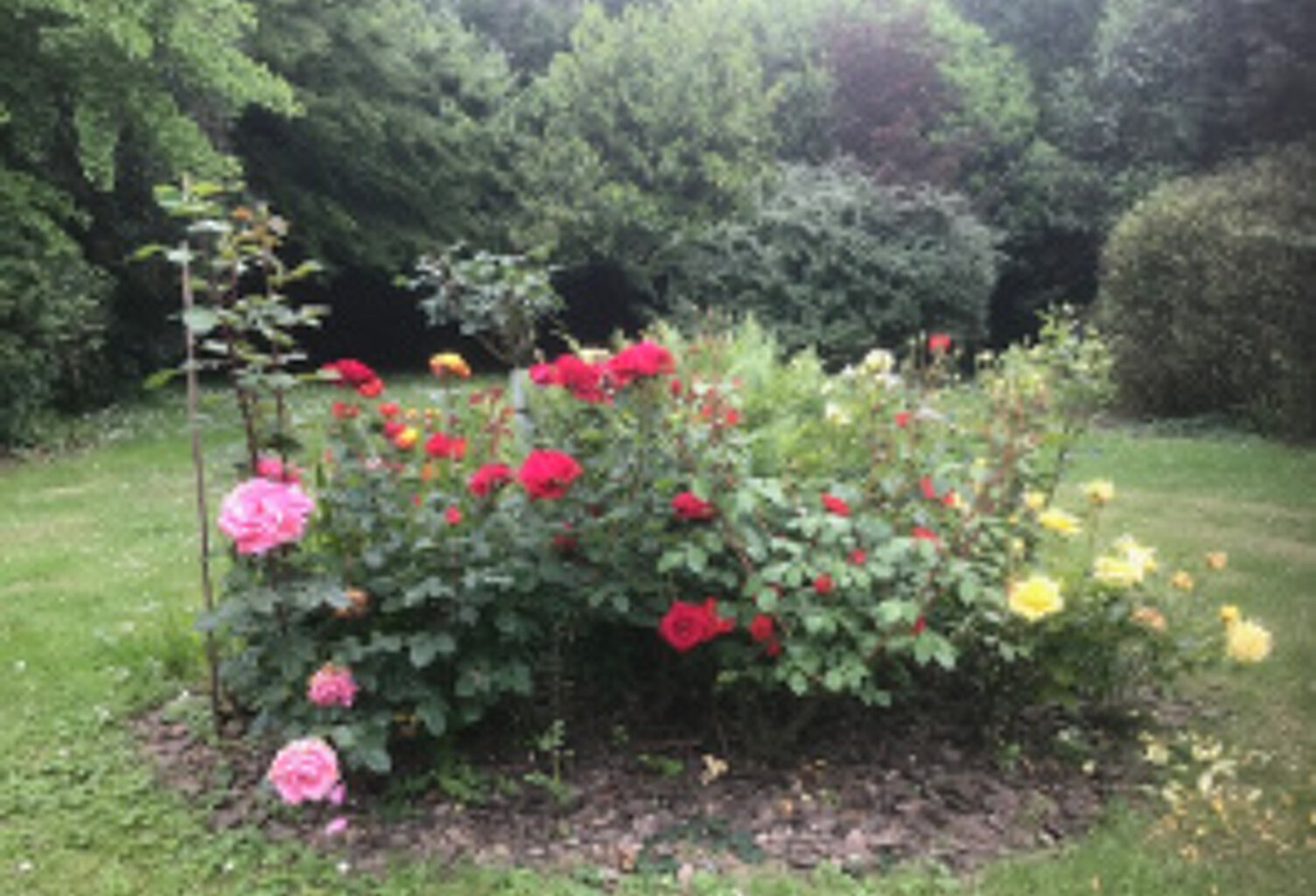 TRES BEL APPARTE F3  AVEC VUE MAGNIFIQUE  SUR UN JOLI PARC A — photo 1