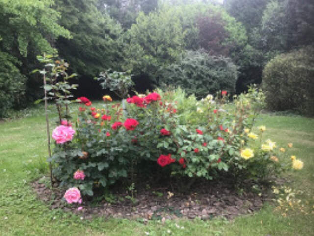 TRES BEL APPARTE F3  AVEC VUE MAGNIFIQUE  SUR UN JOLI PARC A — photo du bien