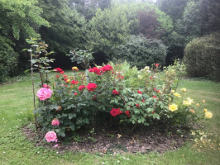 TRES BEL APPARTE F3  AVEC VUE MAGNIFIQUE  SUR UN JOLI PARC A — photo 1