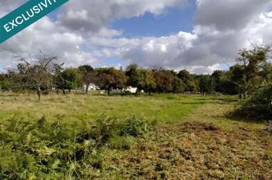 Terrain  53000 €