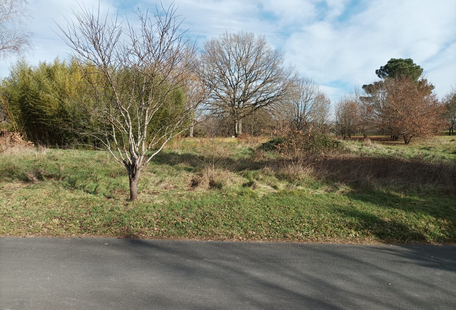 Terrain plat à bâtir — photo 1