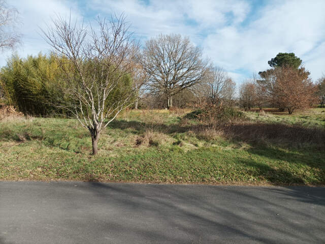 Terrain plat à bâtir — photo du bien