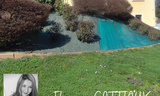 Maison 5 Pièces 110 m² à vendre à Luriecq (42380)