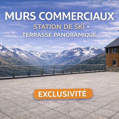 Commerce  315000 €