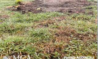 Terrain  700 m² à vendre à Cardan (33410)