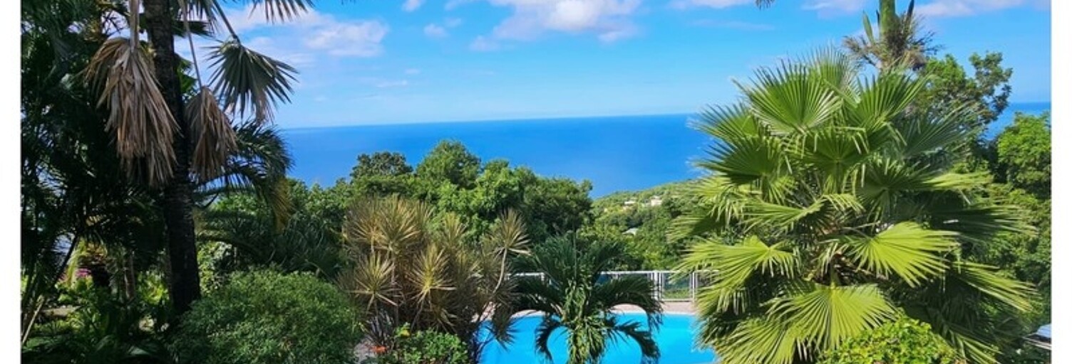 Maison 14 Pièces 283 m² à vendre à Pointe-Noire (97116)