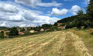 Terrain  830 m² à vendre à Violay (42780)