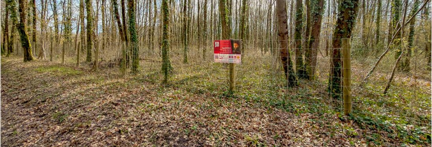 Terrain  6783 m² à vendre à Thénioux (18100)