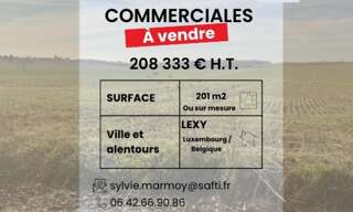 Commerce 1 Pièce 201 m² à vendre à Lexy (54720)