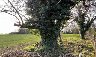 Terrain  600 m² à vendre à Nort-sur-Erdre (44390)