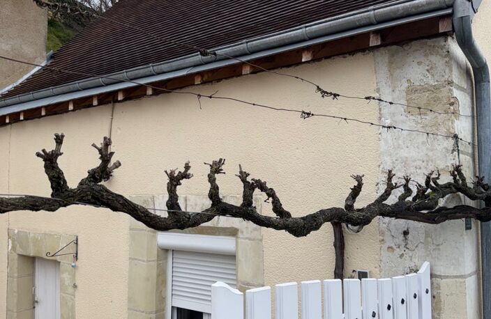 Vente Maison/villa 3 pièces — photo 3