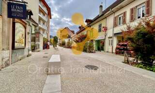 Commerce 1 Pièce 44 m² à vendre à Rumilly (74150)