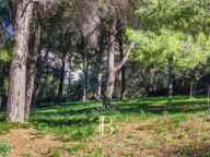 VENTE –CASSIS - CENTRE - PROPRIÉTÉ D'EXCEPTION — photo 4