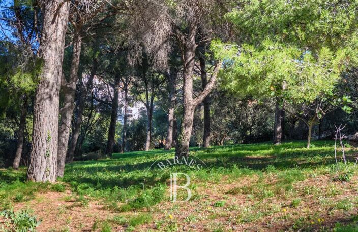 VENTE –CASSIS - CENTRE - PROPRIÉTÉ D'EXCEPTION — photo 4