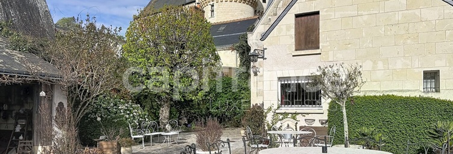 Maison 13 Pièces 420 m² à vendre à Langeais (37130)