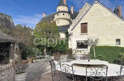 Maison d'exception, au coeur de Langeais 420 m², 8 chambres — photo du bien