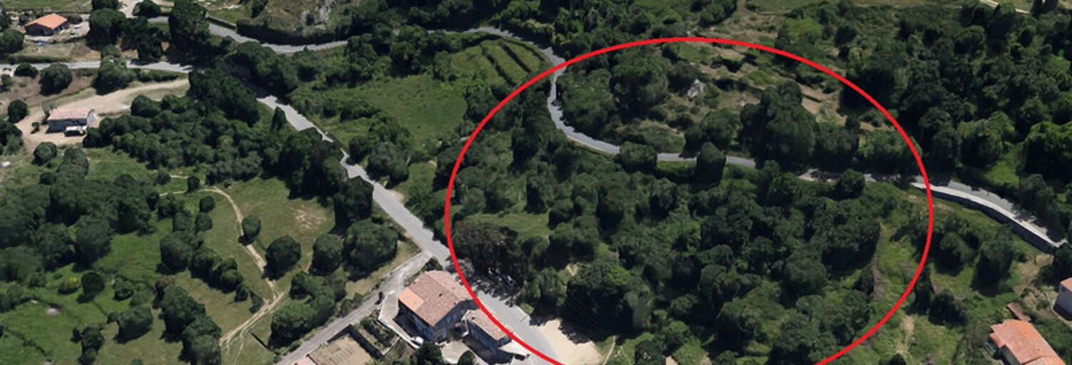 Terrain  5970 m² à vendre à Cateri (20225)