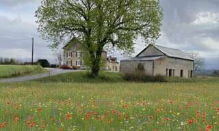 Maison 10 Pièces 214 m² à vendre à Bussière-Galant (87230)