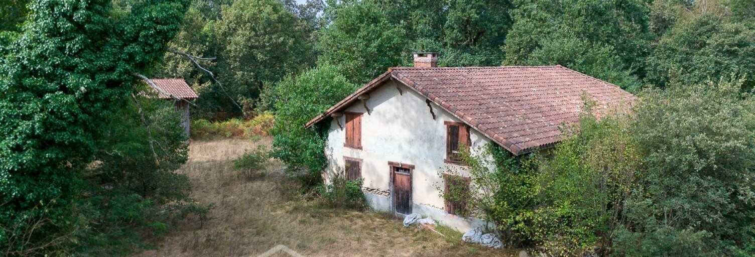 Maison 6 Pièces 250 m² à vendre à Labrit (40420)