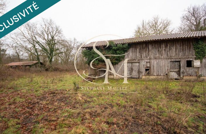 Propriété landaise à réinventer sur 2,8 ha — photo 3