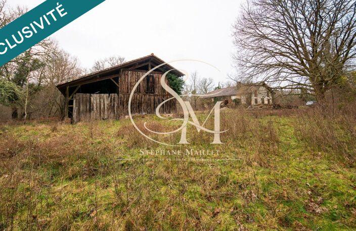 Propriété landaise à réinventer sur 2,8 ha — photo 4