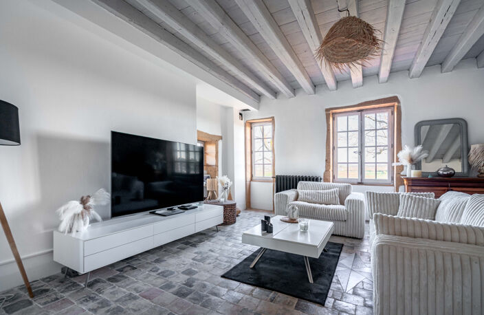 PROPRIETE 12 PIÈCES - PORTE DES PIERRES DOREES - 430M2 — photo 5