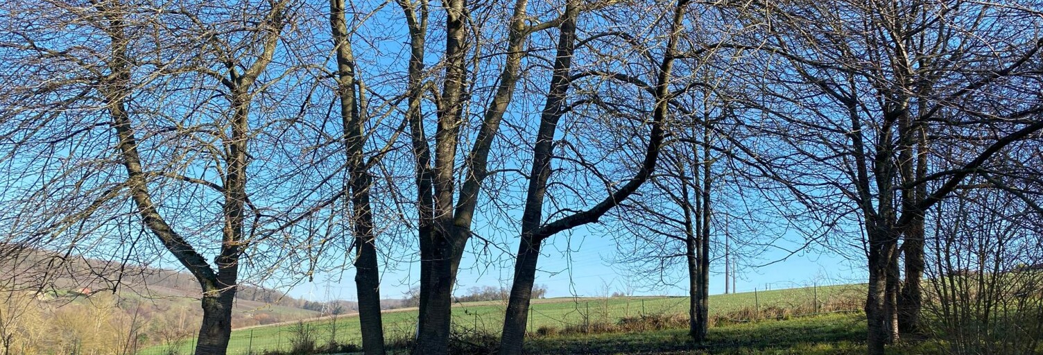 Terrain  581 m² à vendre à Villiers-Saint-Denis (02310)