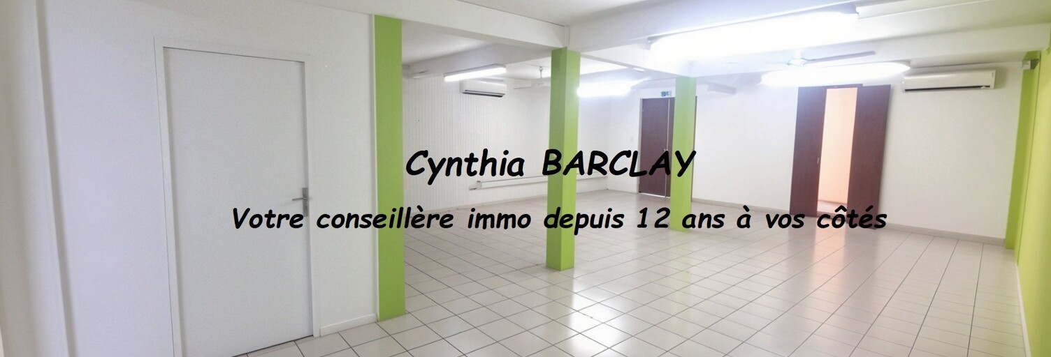 Commerce  333 m² à vendre à Rivière-Salée (97215)