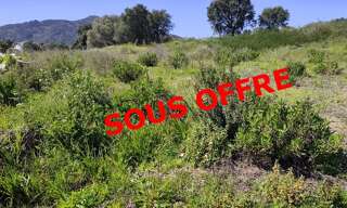 Terrain  1037 m² à vendre à Ajaccio (20090)