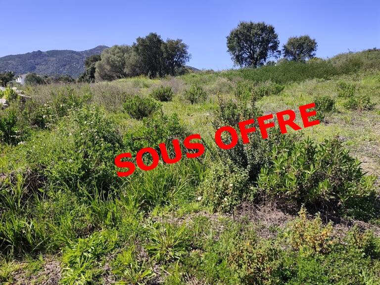 Terrain — photo 1
