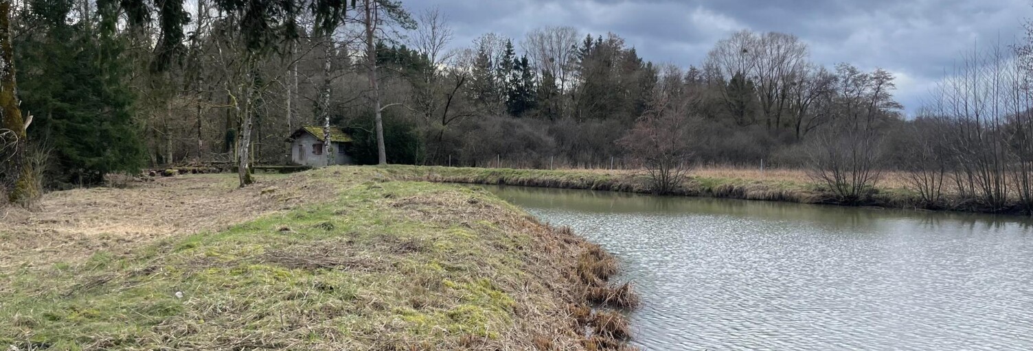 Terrain  5130 m² à vendre à Waldweistroff (57320)