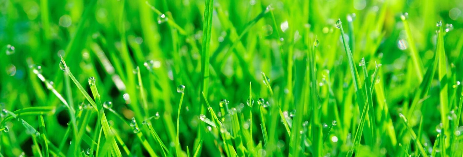 Terrain  731 m² à vendre à Septème (38780)