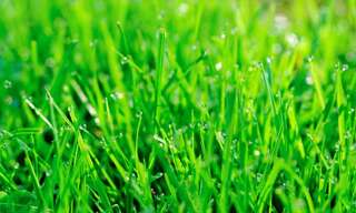 Terrain  347 m² à vendre à Septème (38780)