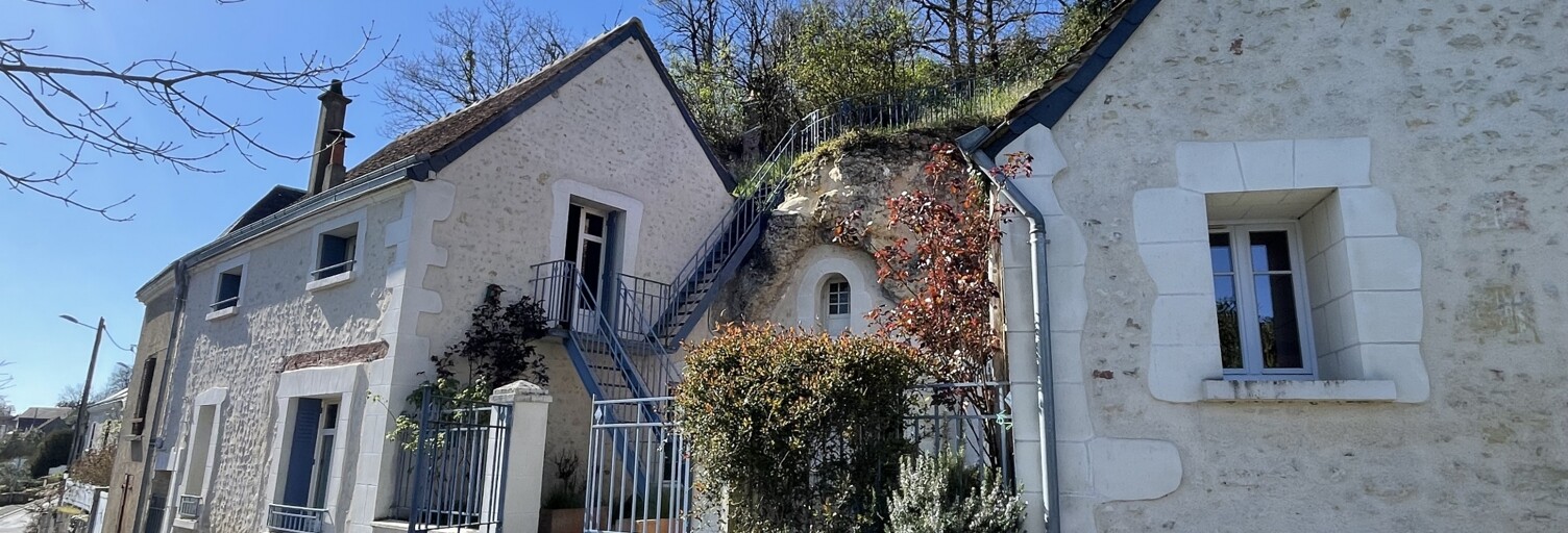 Maison 8 Pièces 167 m² à vendre à Lussault-sur-Loire (37400)