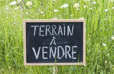 Terrain — photo du bien