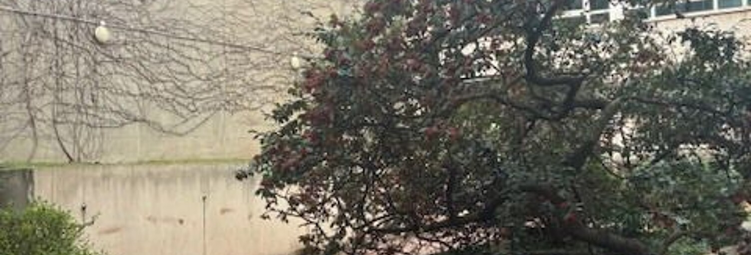 Bureau  23 m² à louer à Neuilly-sur-Seine (92200)