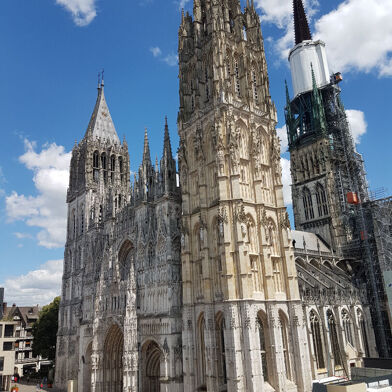 Appartement 1 pièces 458 €