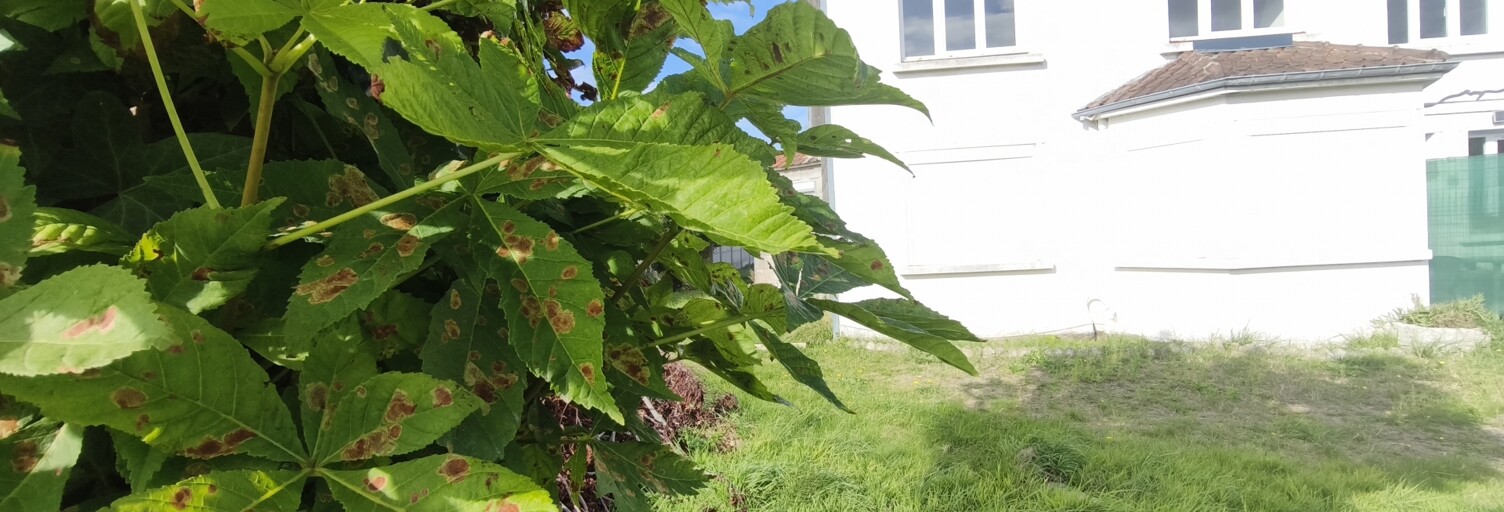 Appartement 4 Pièces 70 m² à vendre à Fort-Mahon-Plage (80120)