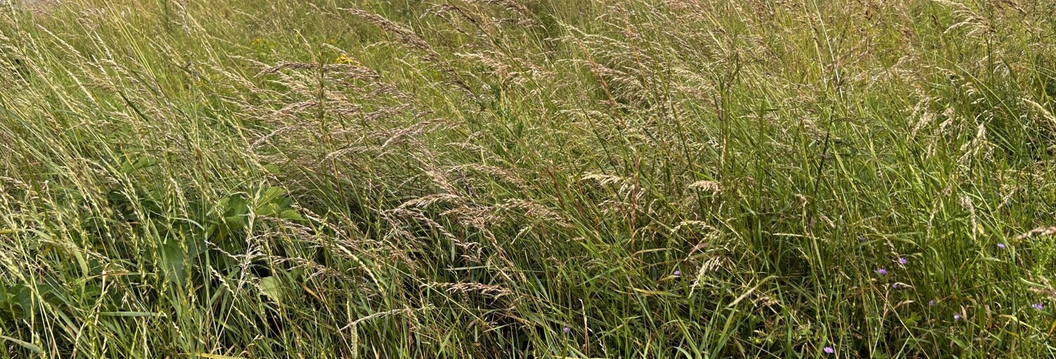 Terrain  408 m² à vendre à Saint-Piat (28130)