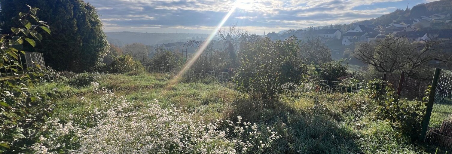 Maison 6 Pièces 143 m² à vendre à Alsting (57515)