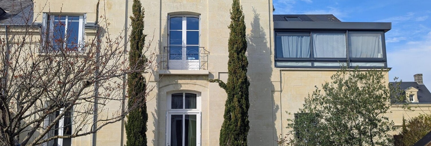 Maison 8 Pièces 247 m² à vendre à Avoine (37420)