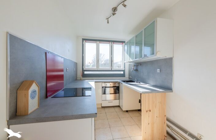 Appartement de 4 pièces principales — photo 3