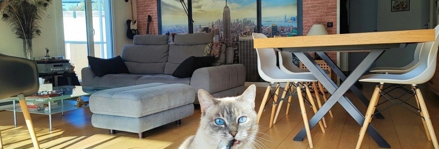 Appartement 4 Pièces 102 m² à vendre à Le Bouscat (33110)