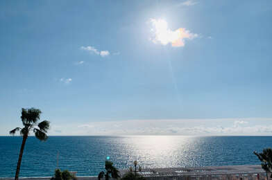 Appartement 3 pièces 1600 €