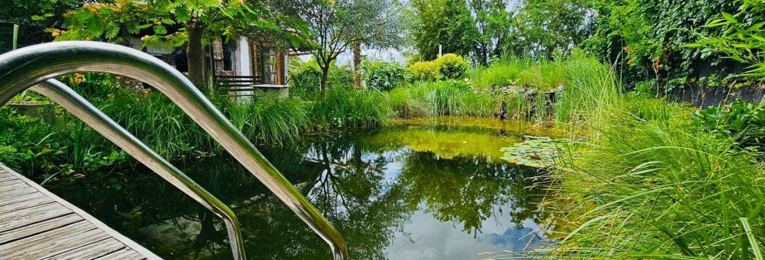 Maison 4 Pièces 164 m² à vendre à Algolsheim (68600)