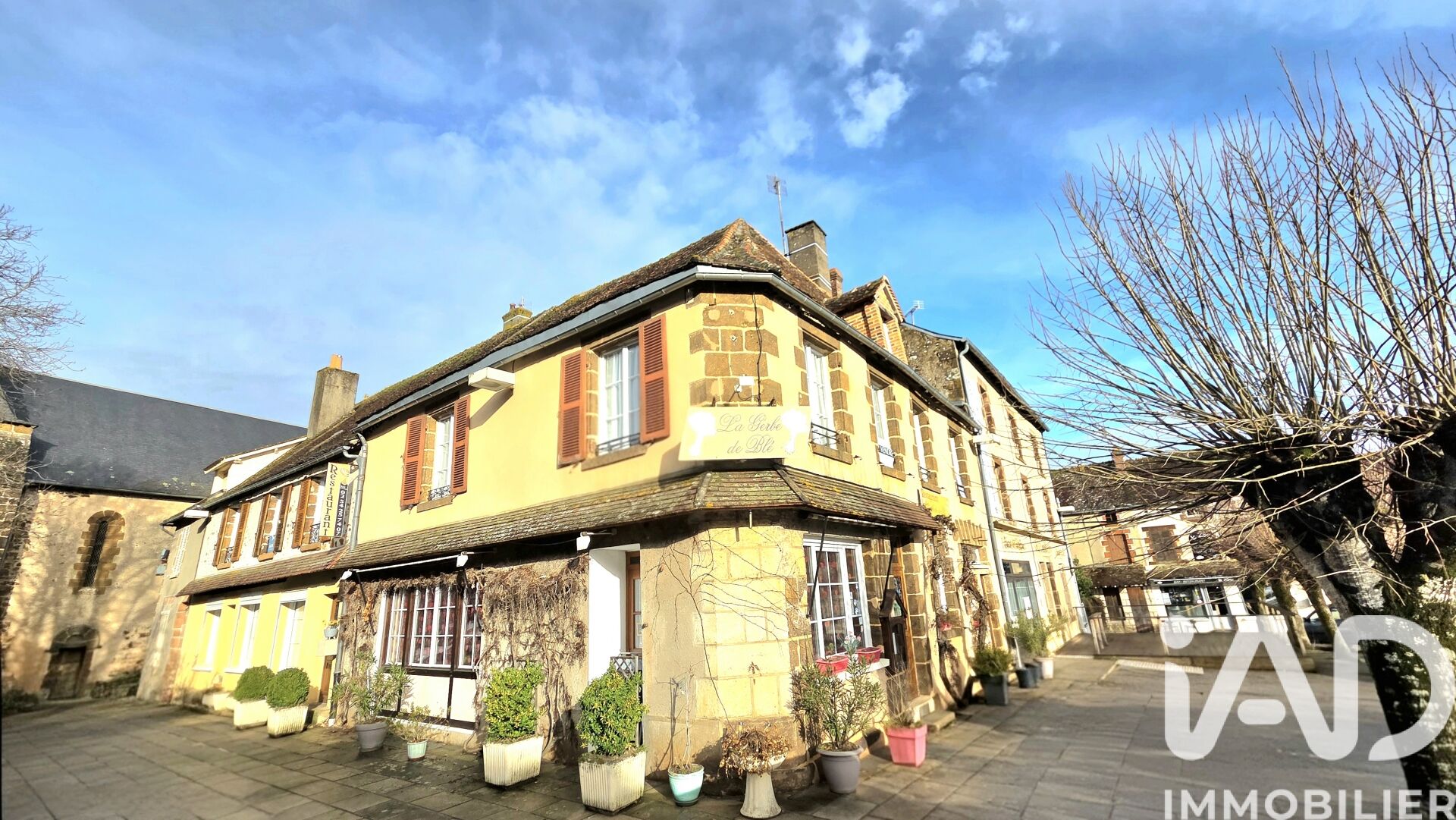 Maison à vendre, 11 pièces, 522 m², Chaillac