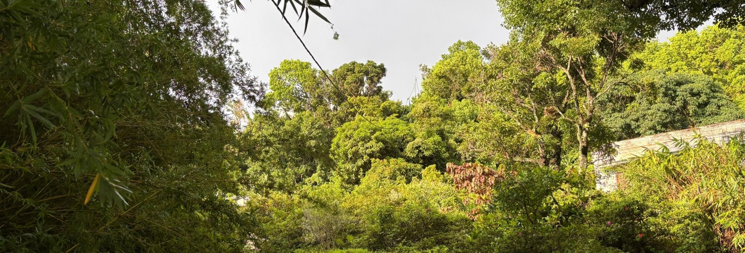 Terrain  888 m² à vendre à Saint-Denis (97400)