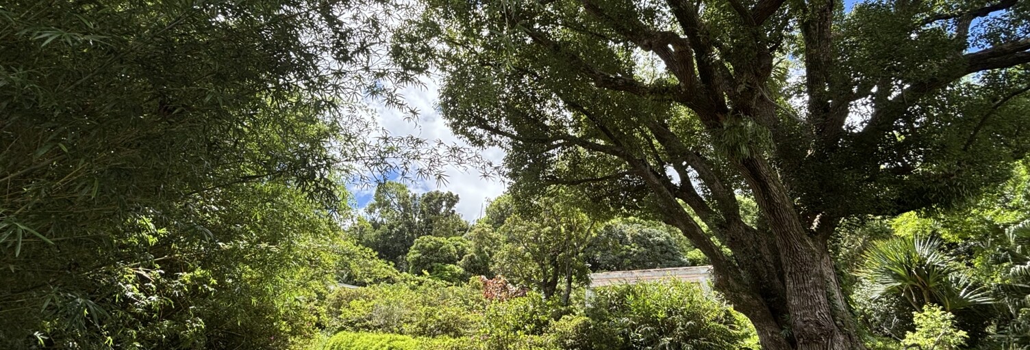 Terrain  888 m² à vendre à Saint-Denis (97400)