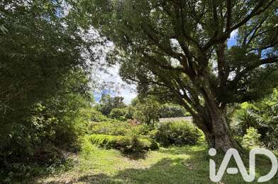 Terrain  199500 €
